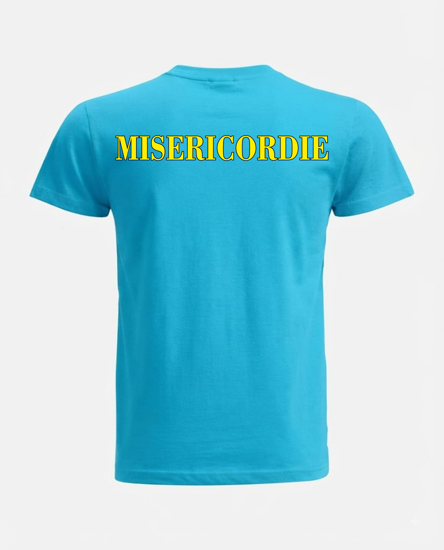 T-shirt LINEAR azzurra Misericordie
